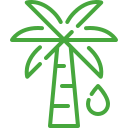 Palm Oil Mill Effluent (POME) Oil